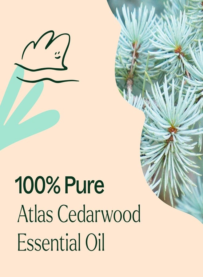 Plant Therapy Atlas Cedarwood Essential Oil 30 mL (1 oz) 100% Pure, Undiluted, Therapeutic Grade - Image 5